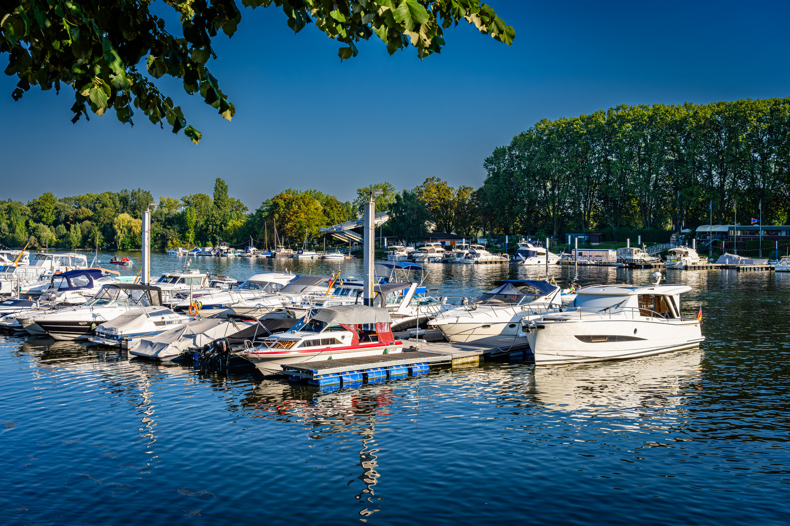 Schiersteiner Hafen 03