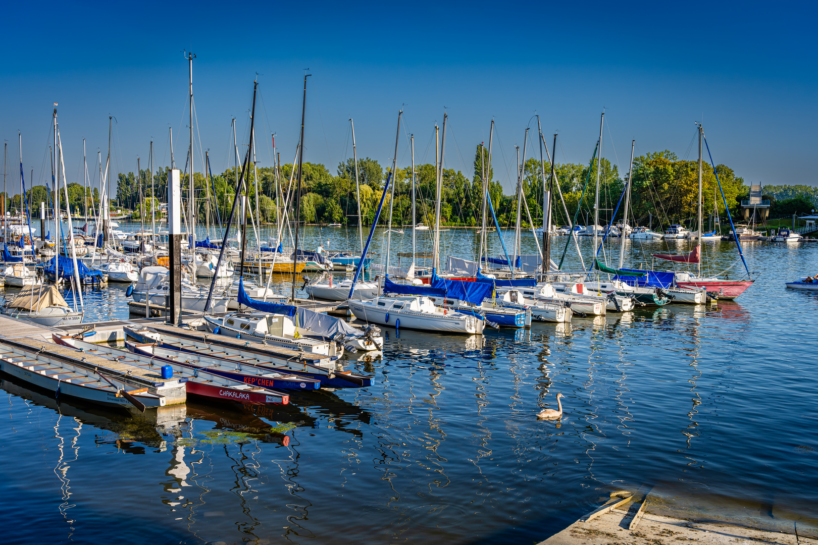 Schiersteiner Hafen 14