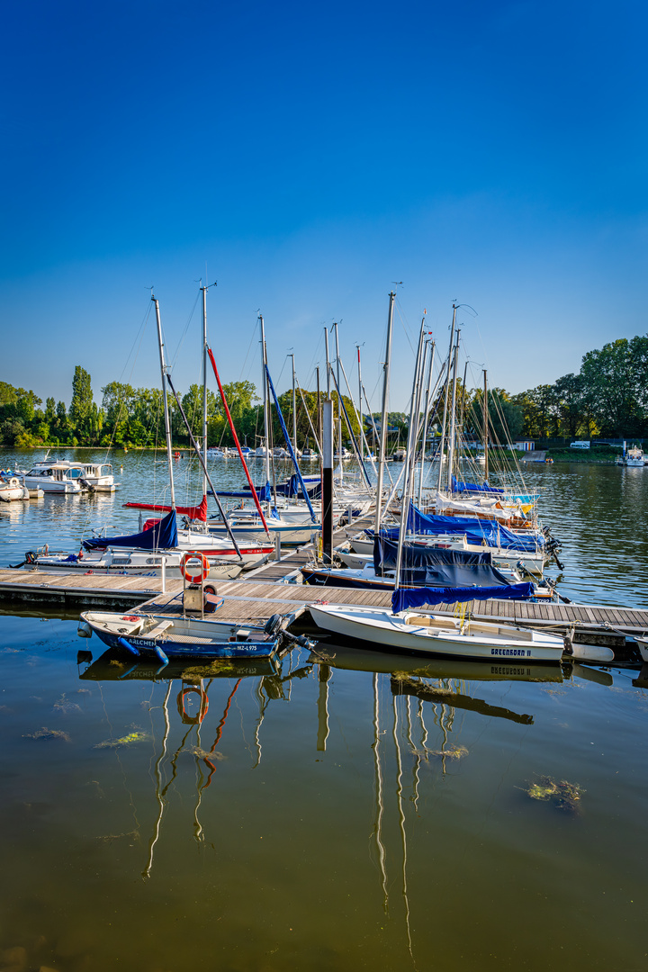 Schiersteiner Hafen 19