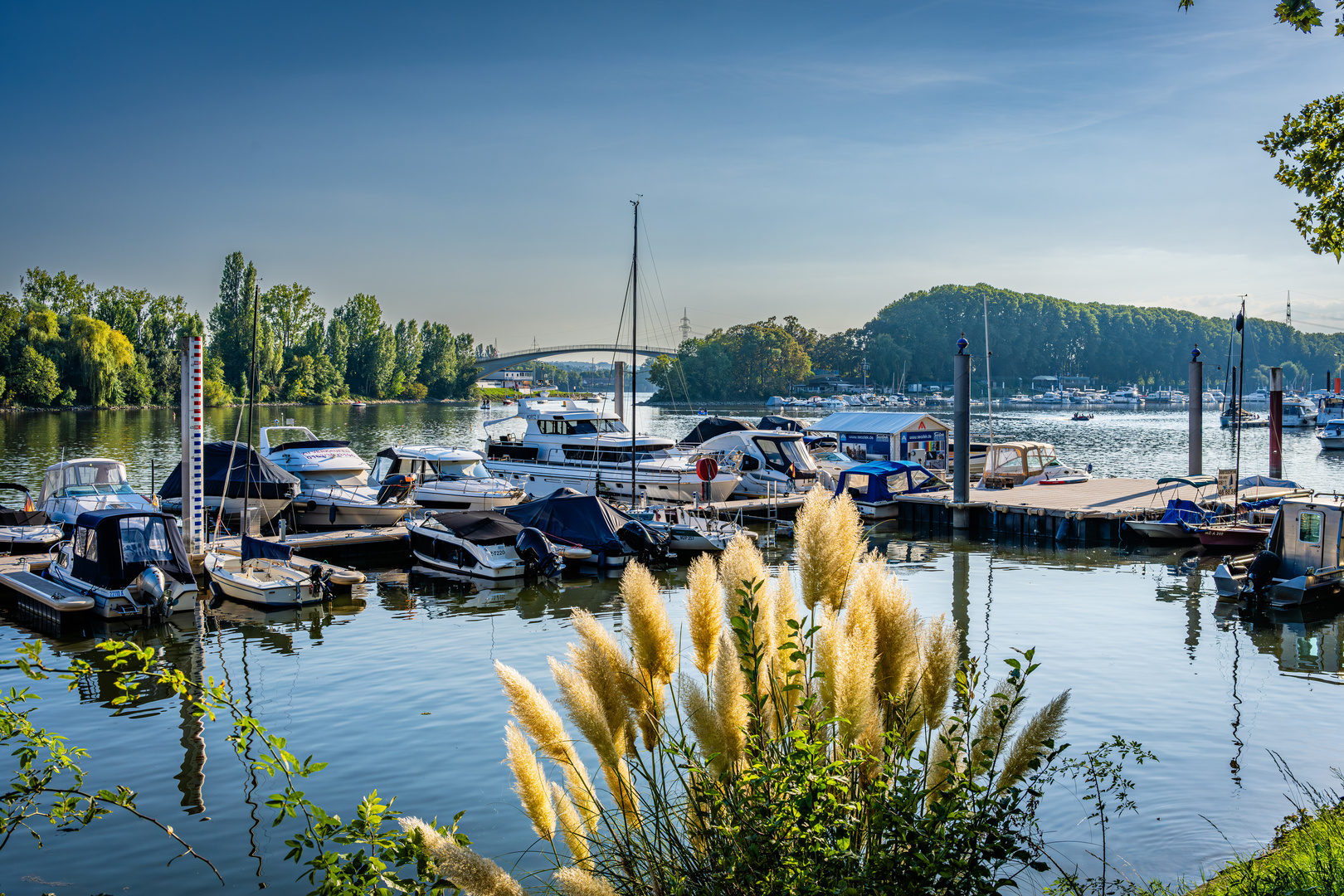 Schiersteiner Hafen 33