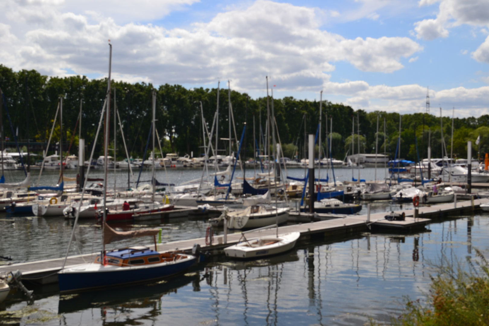 schiersteiner hafen