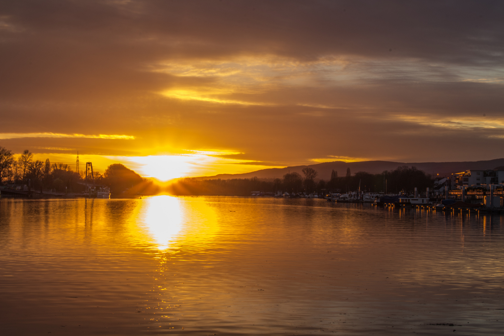 Schiersteiner Hafen im Glanz der Abendsonne