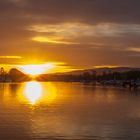 Schiersteiner Hafen im Glanz der Abendsonne