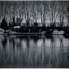 Schiersteiner Hafen im Winter