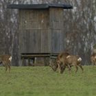 Schießbude geschlossen