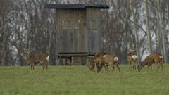 Schießbude geschlossen