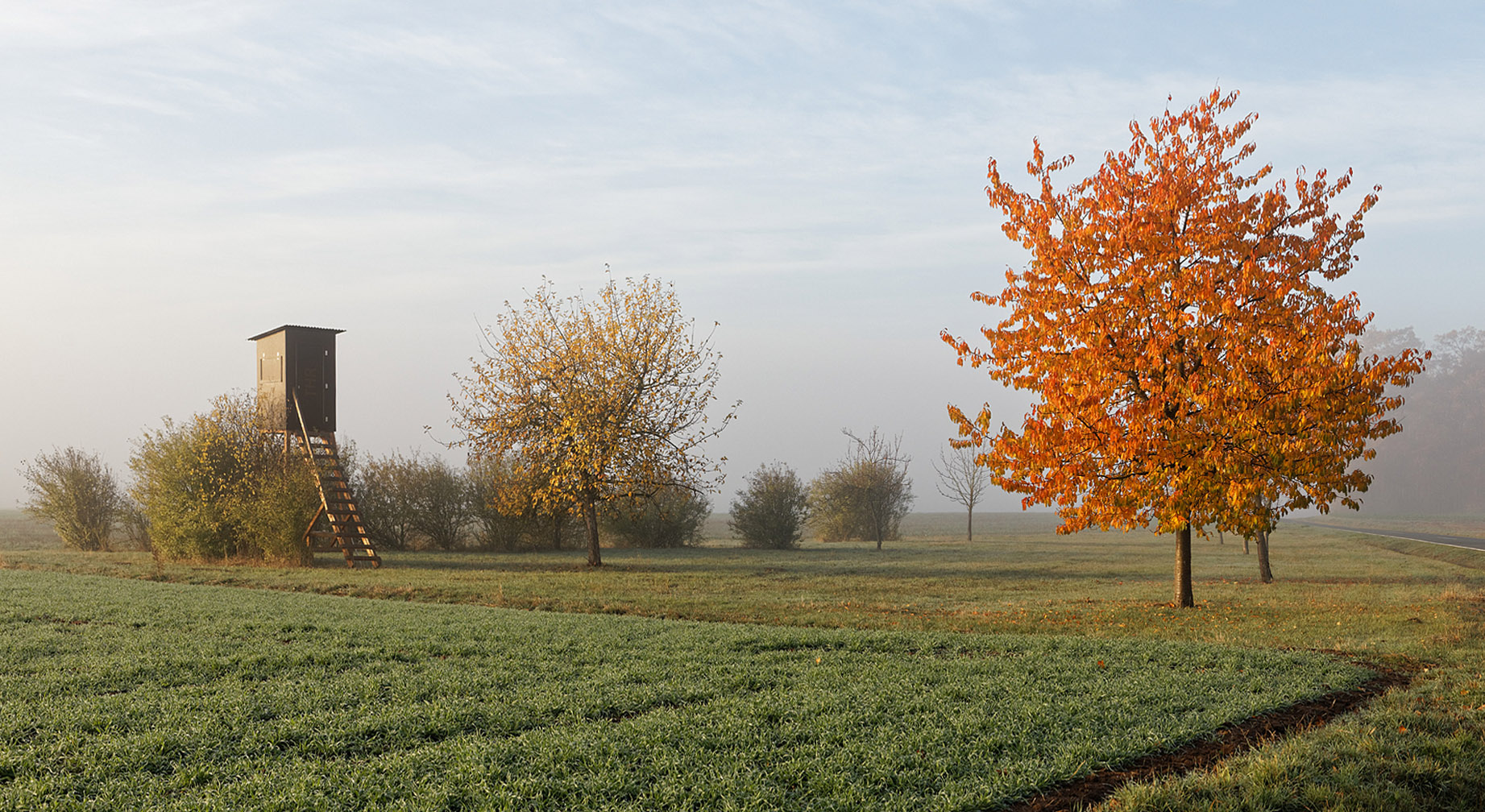 Schießbude im Nebel