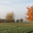 Schießbude im Nebel