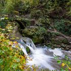 Schiessentümpel im Herbst