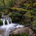 Schiessentümpel im Herbst