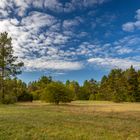 Schießplatzheide Impression