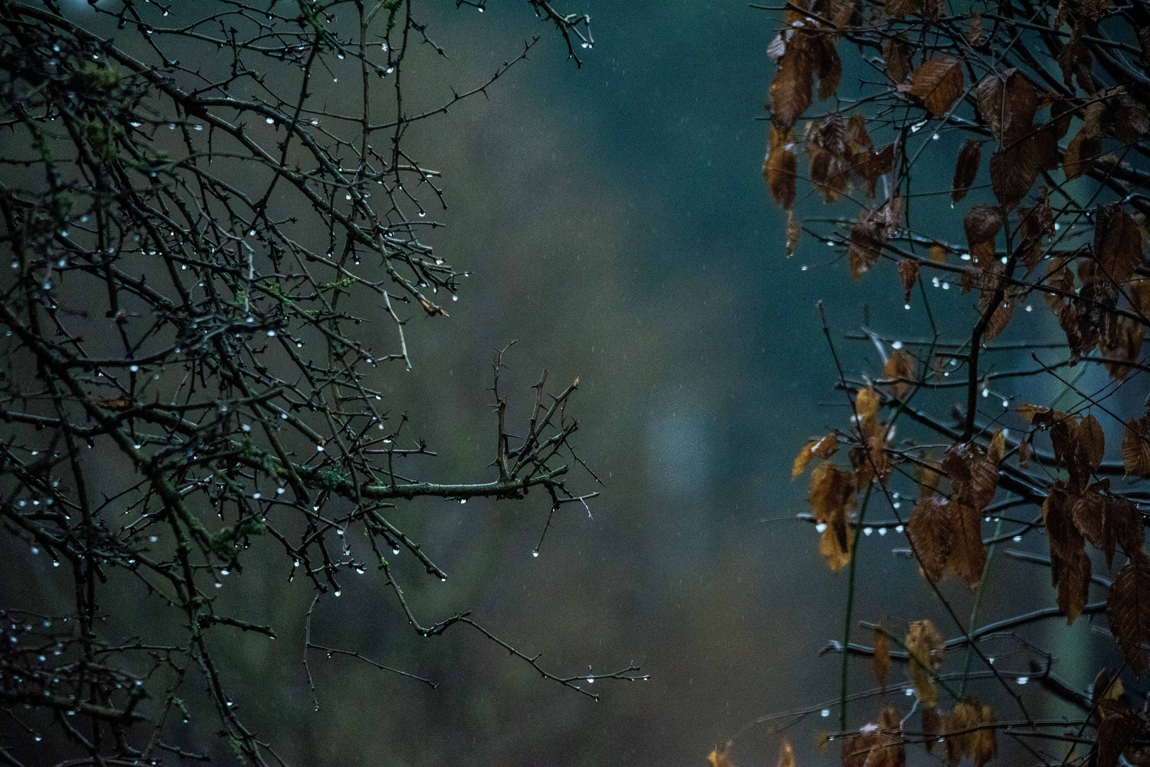 schiet Wetter - es nieselt