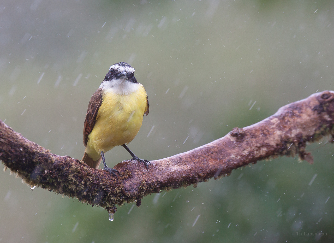 Schiet ' Wetter heute !