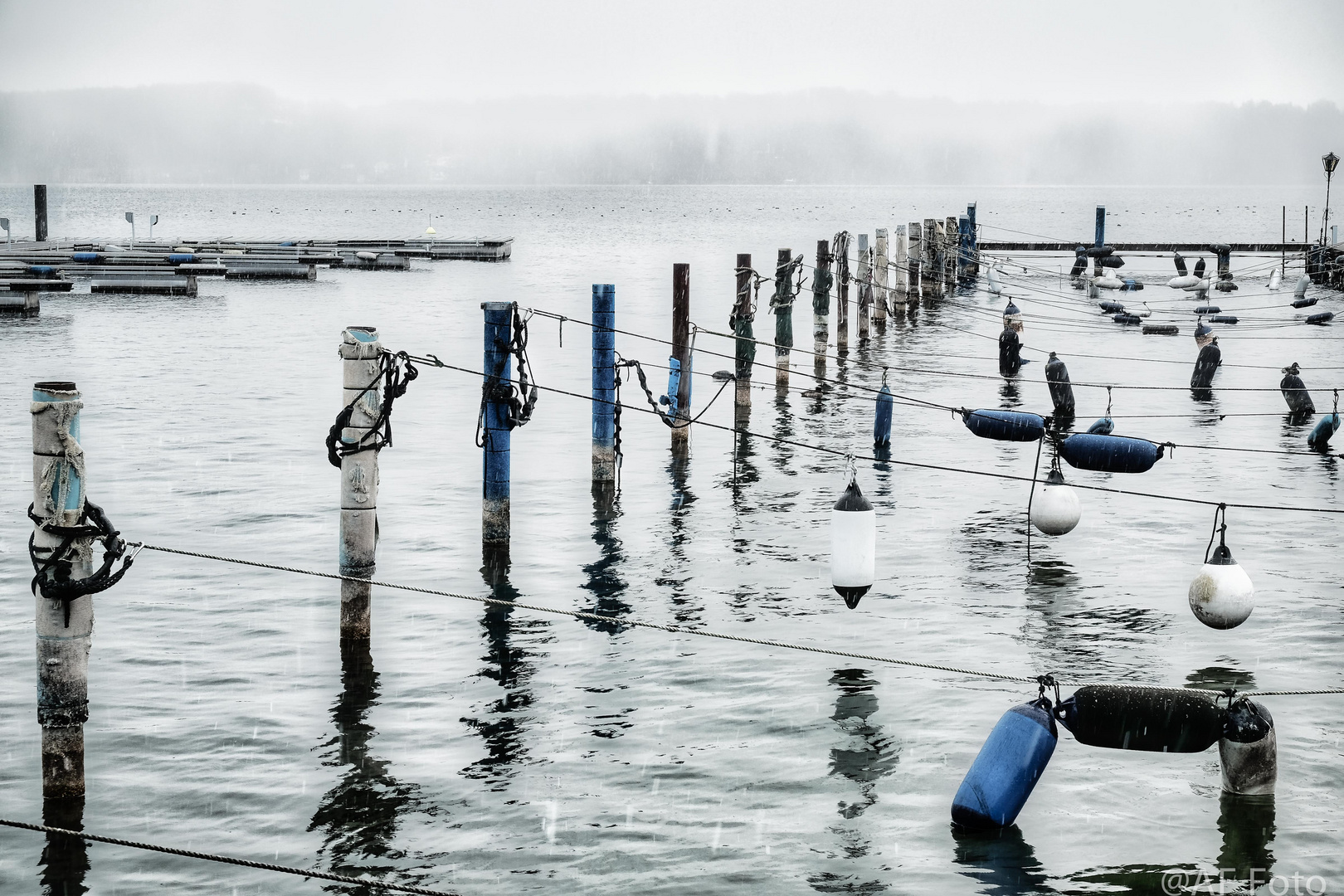 Schietweder am Starnberger See 2