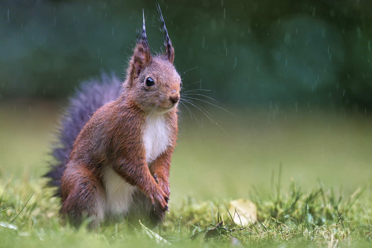 Schietwetter...