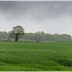 Schietwetter