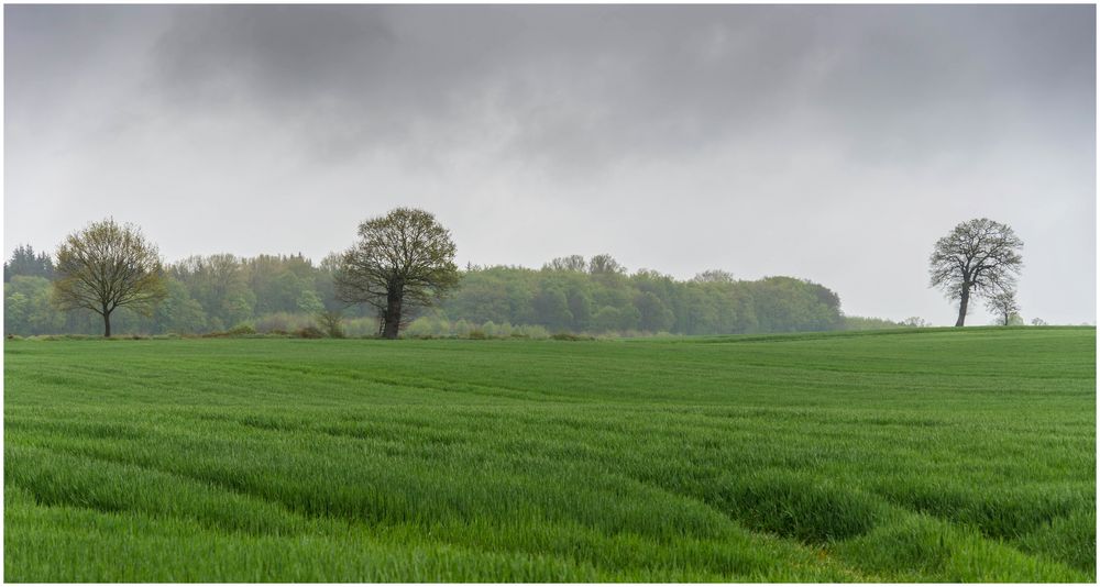 Schietwetter