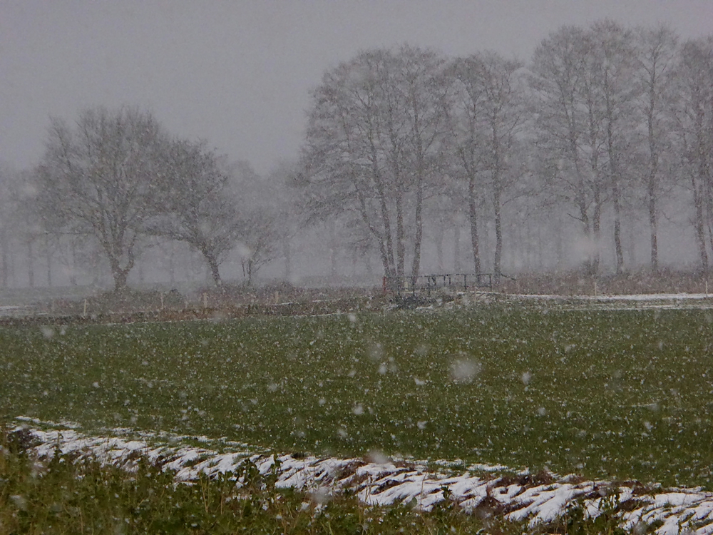 Schietwetter