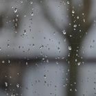 Schietwetter - aber Gott sei Dank sind meine Fenster sauber