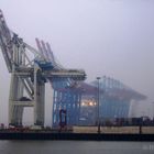 Schietwetter am Hafen_2