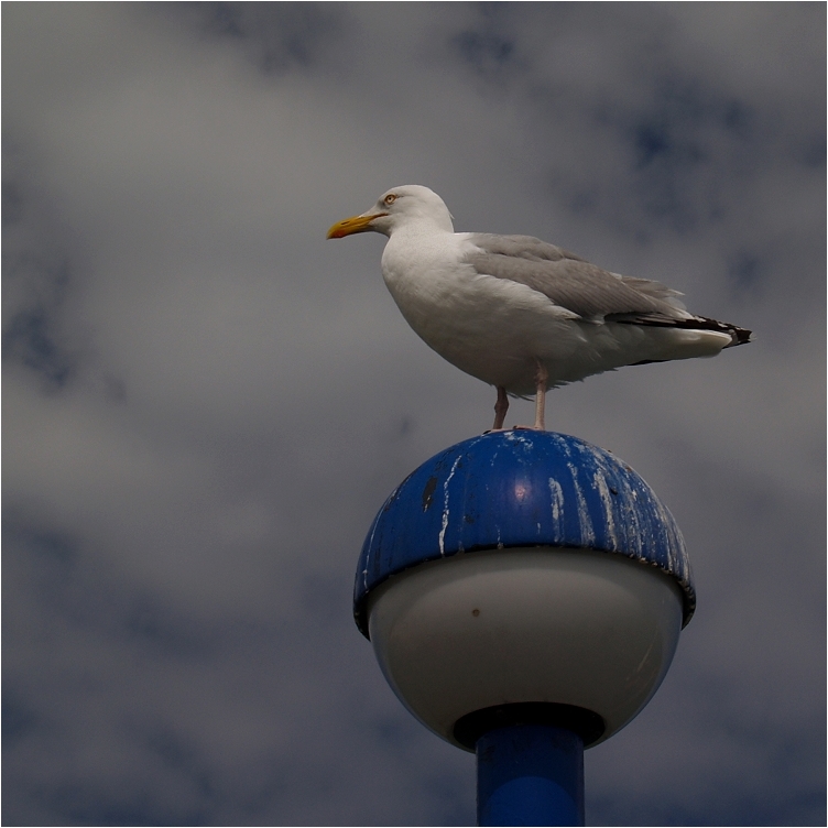 Schietwetter