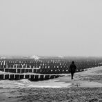 Schietwetter bei Ahrenshoop