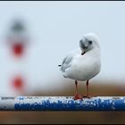 "Schietwetter, da penne ich lieber weiter!"