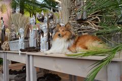 Schietwetter Tour im Blumenladen