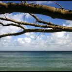 Schiff am Horizont (1) - Rügen