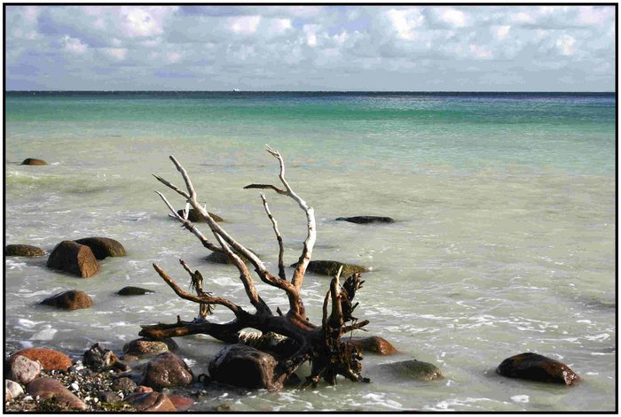 Schiff am Horizont (2) - Rügen