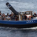 Schiff Anna