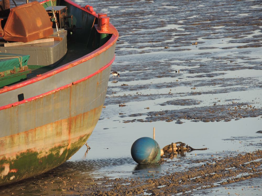 Schiff bei Ebbe