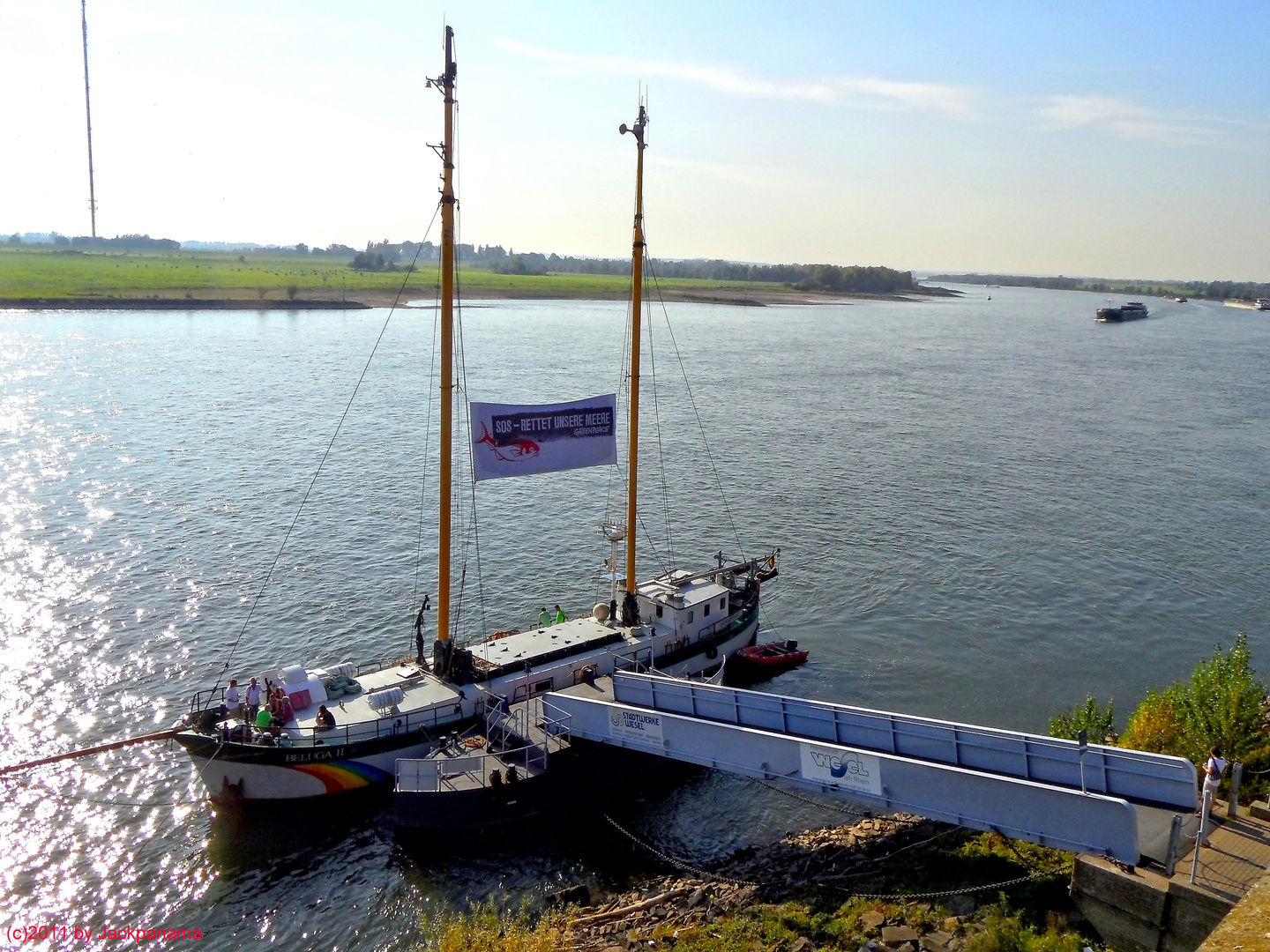 Schiff "Beluga II" von Greenpeace an der Rheinpromenade festgemacht