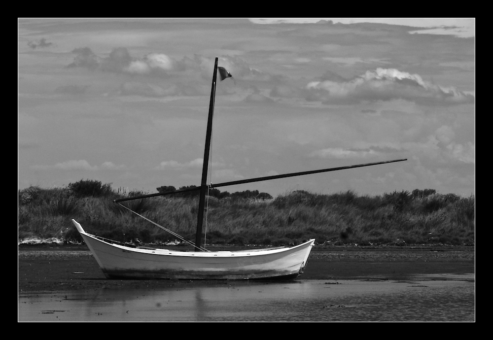 - Schiff in der Camargue 1 -