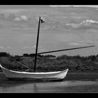 - Schiff in der Camargue 1 -