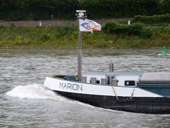 Schiff Marion