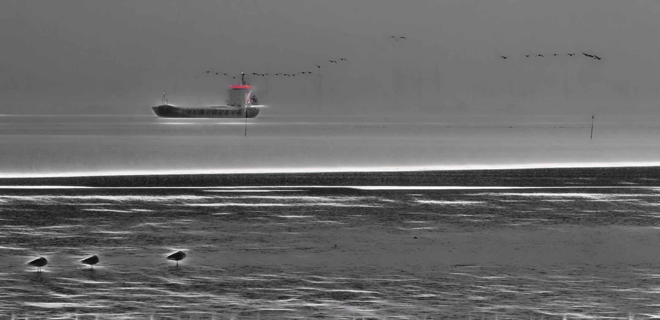 ... schiff mit vogel-formation auf der elbe      