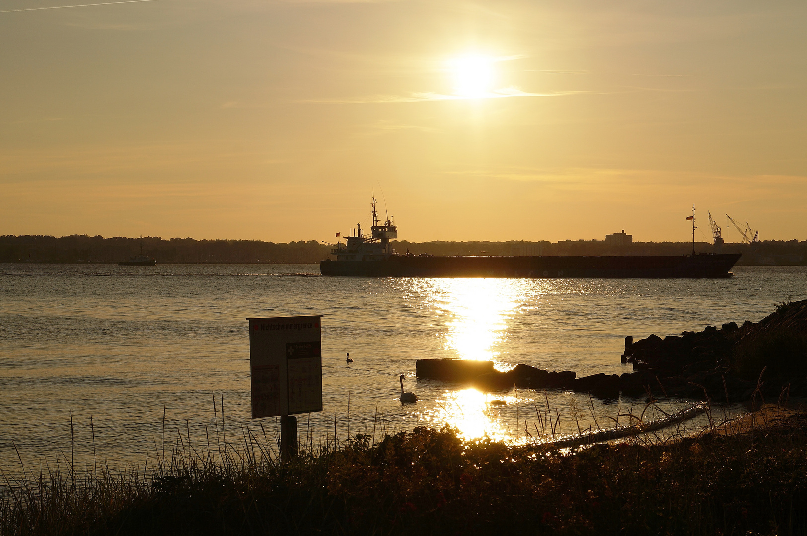 Schiff von der Reederei Wilson im Sonnenuntergang
