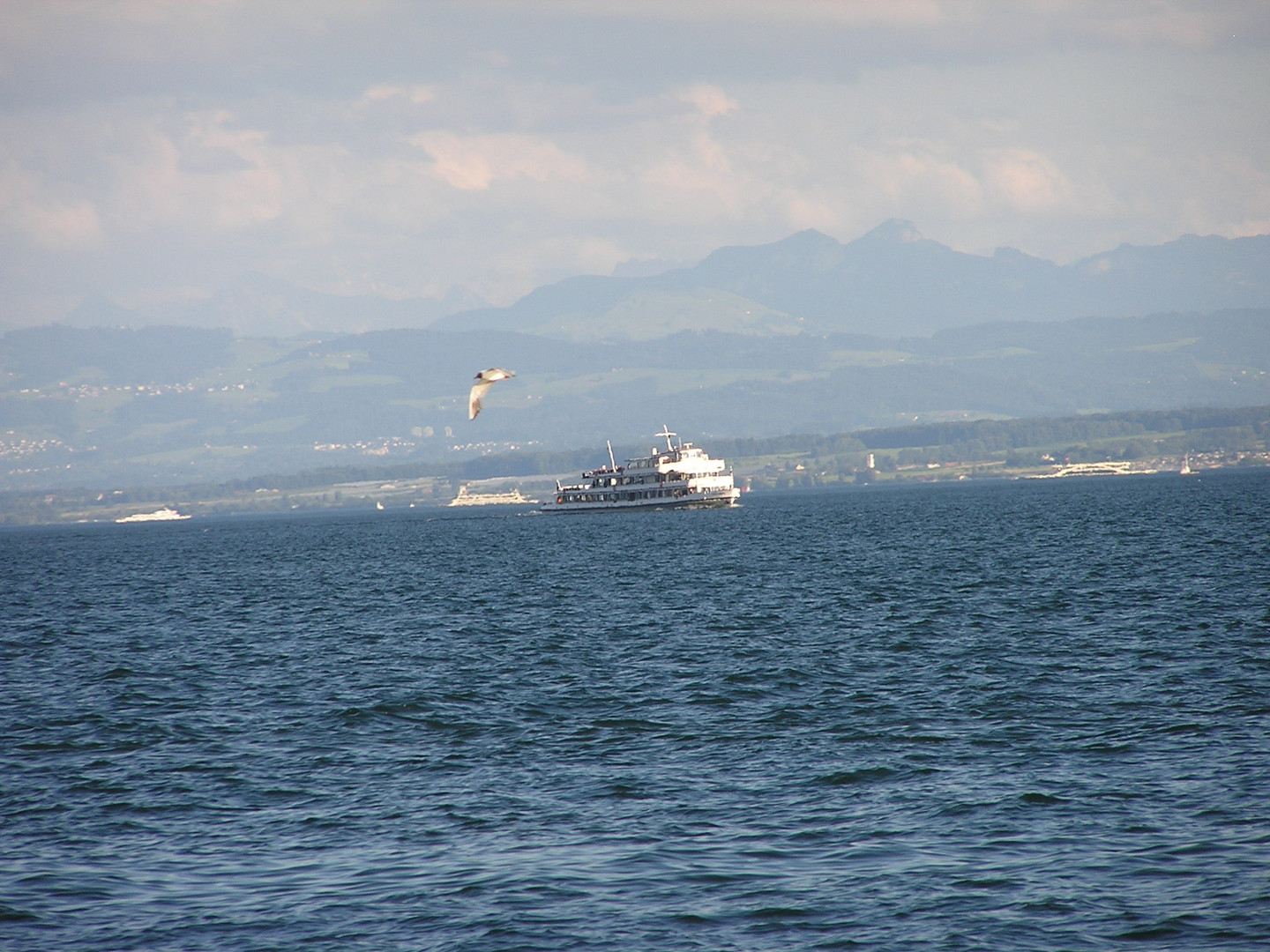 Schiffe auf dem Bodensee