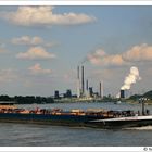 Schiffe auf dem Rhein bei Duisburg - TMS Neptunus ENI 02318139