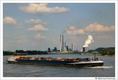 Schiffe auf dem Rhein bei Duisburg - TMS Neptunus ENI 02318139