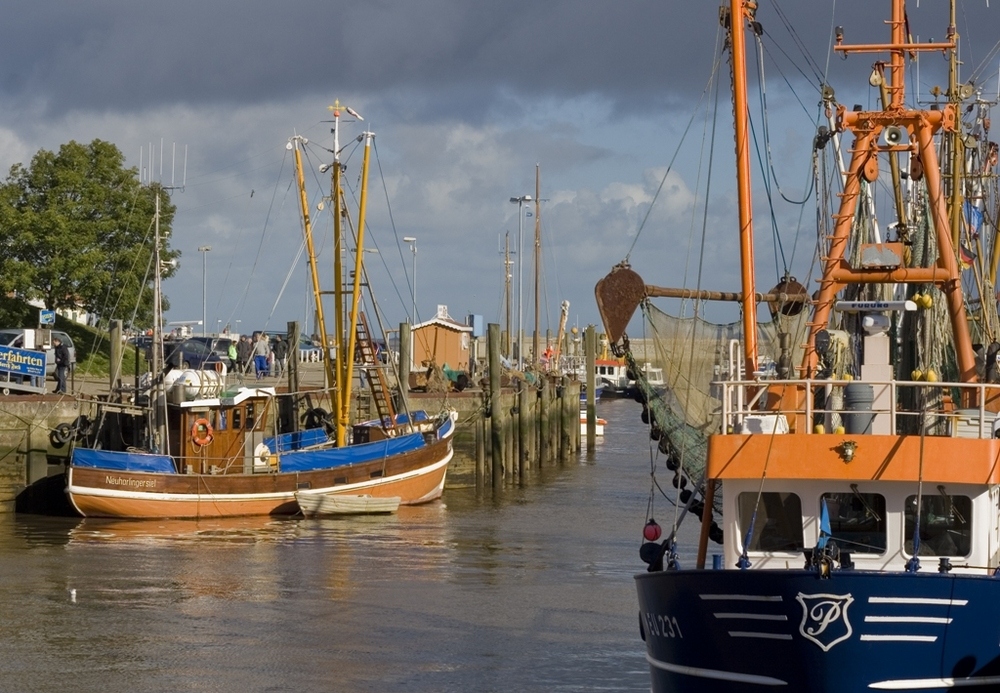 Schiffe im Hafen zu Neuharlingssiel