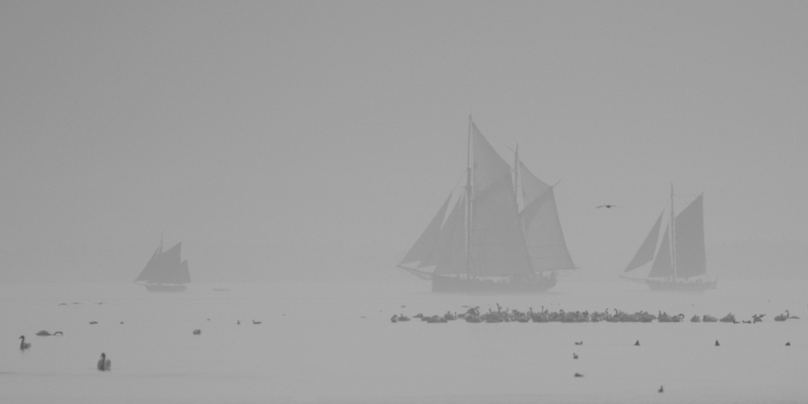 Schiffe im Nebel