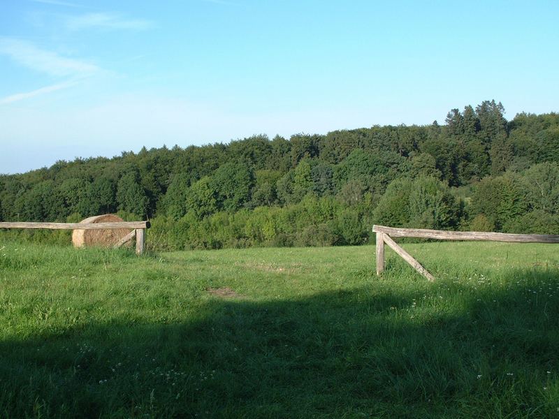 Schiffenberg bei Gießen