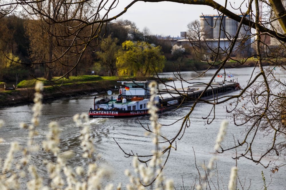 Schifffahrt auf dem Neckar