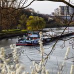 Schifffahrt auf dem Neckar