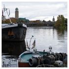 Schifffahrt auf der Havel VI