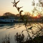 Schifffahrt auf der herbstlichen Weser