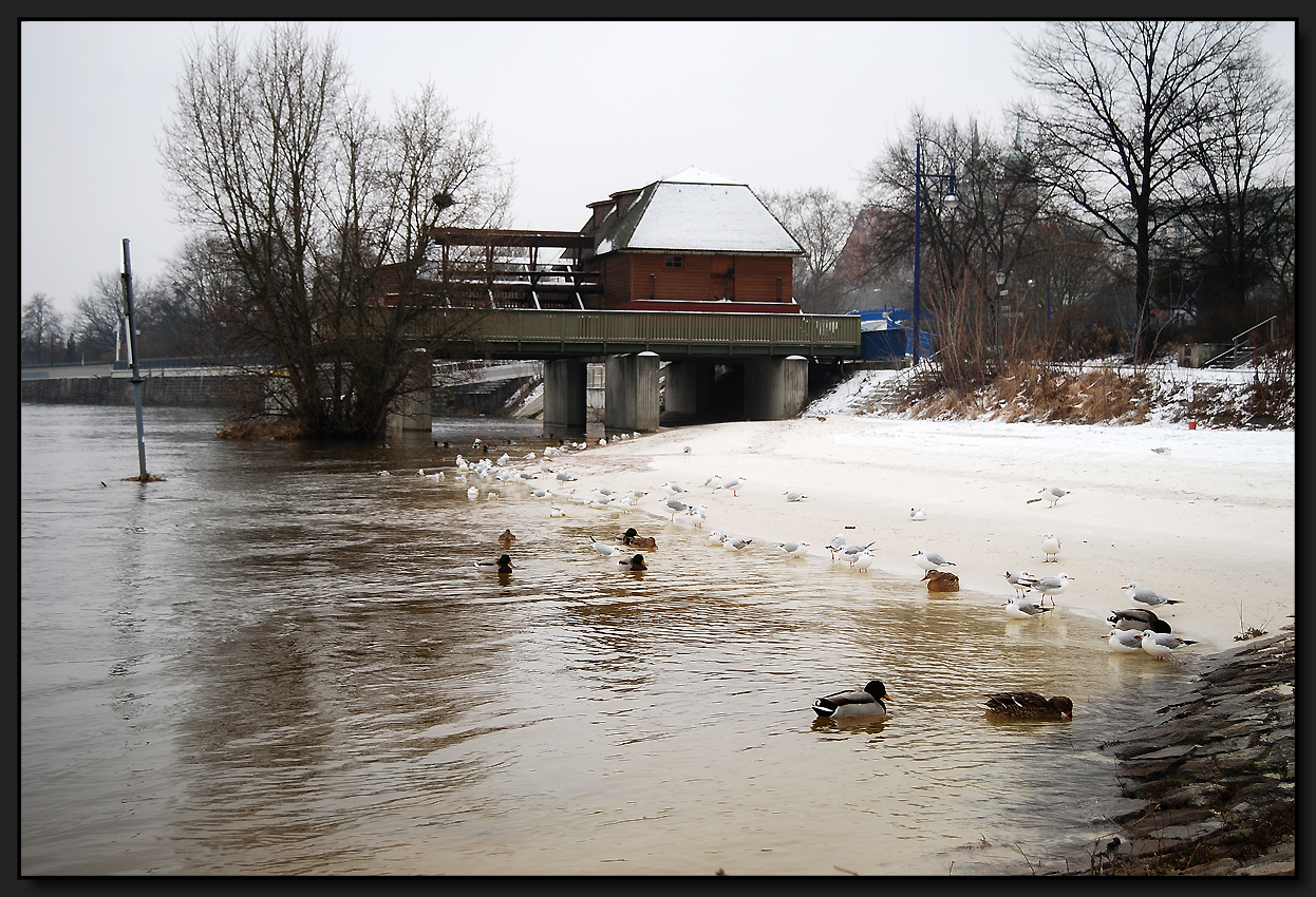 ...SchiffMühle...