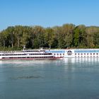 Schiffsbegegnung auf der Donau 